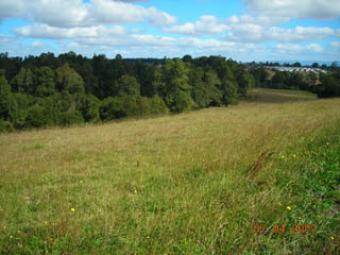 Fantastic 50 Ha Ranch Chile Rio Negro